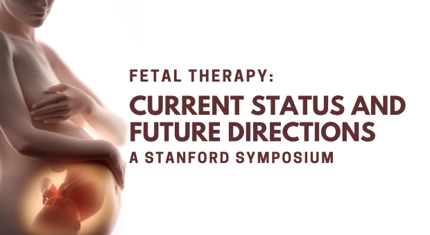 Fetal Therapy: Current Status and Future Directions